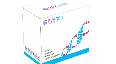 對蝦桿狀病毒（BP）DNA恒溫核酸檢測試劑盒（不含提?。? />
                            </a>
                        </div>
                                            </div>
                </div>
                <div   id="lljxjrd"   class="col-lg-5">
                    <div   id="dxrtxjt"   class="product-intro">
                        <h1 class=